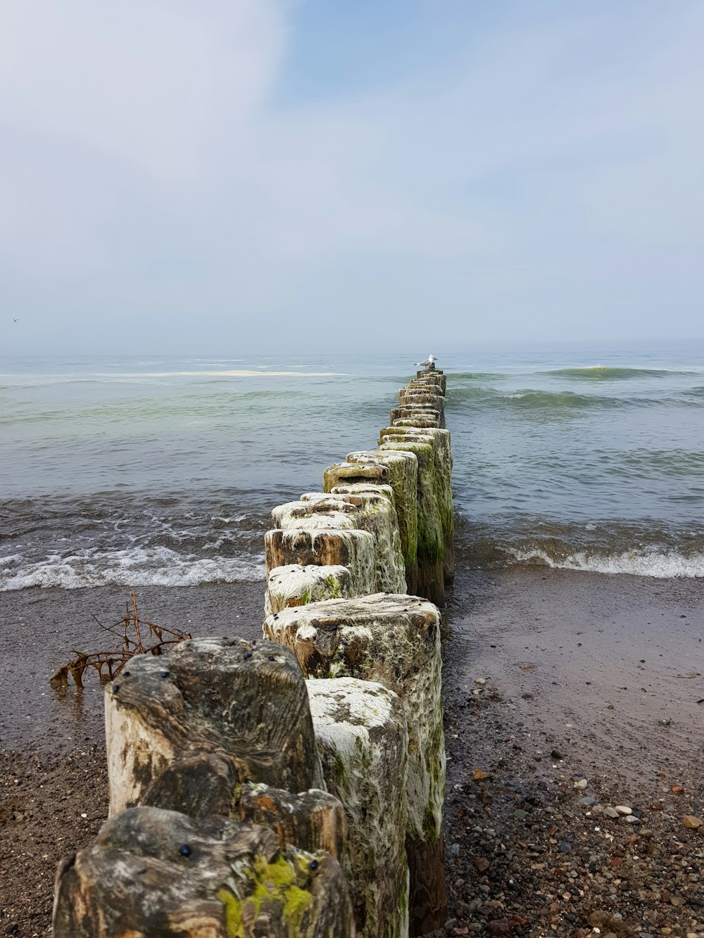 gray concrete blocks on beach during daytime