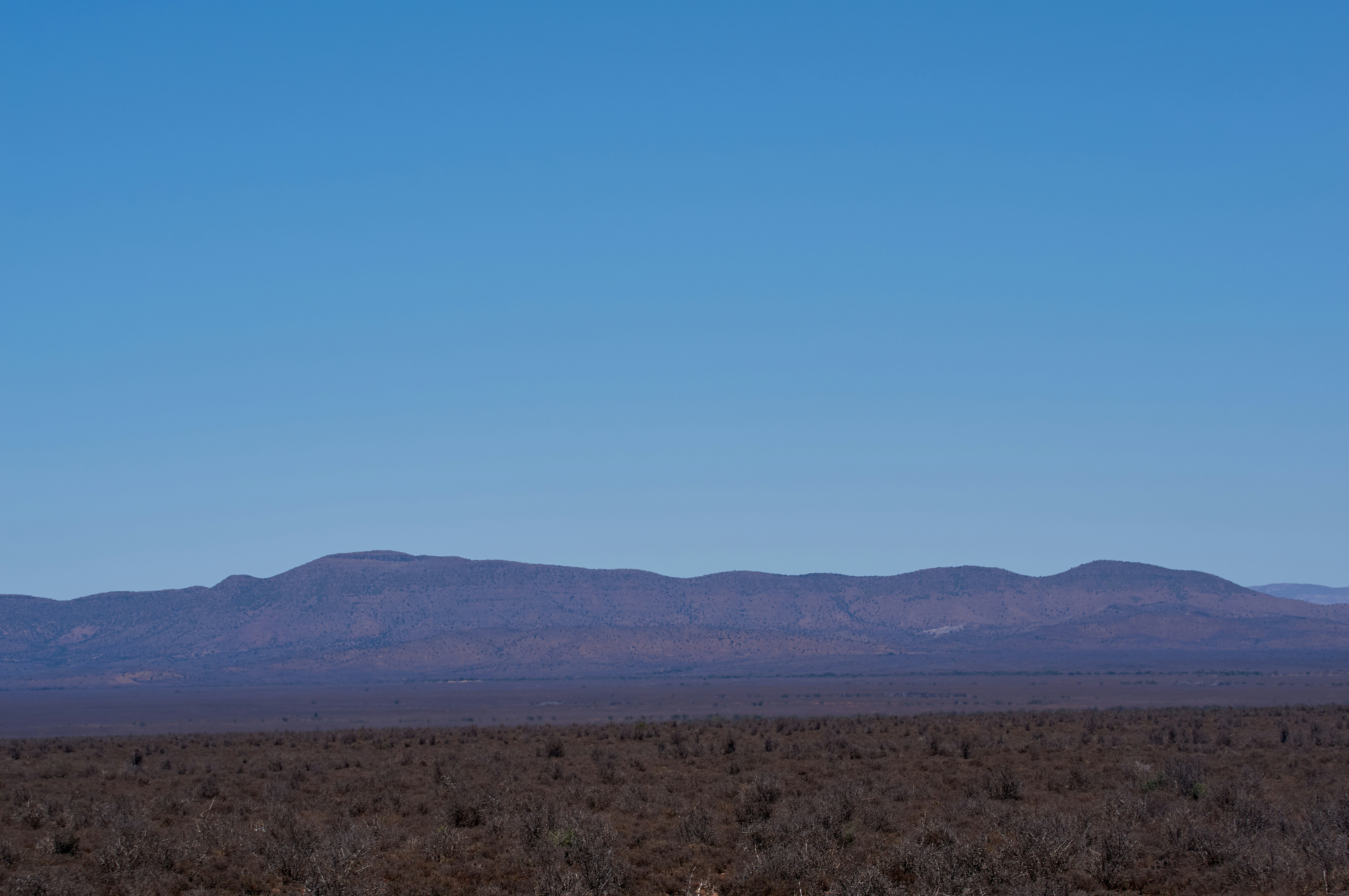 Photo by wolfgang_hasselmann