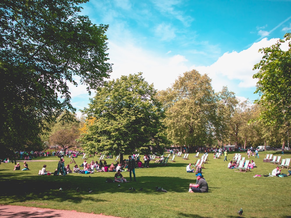 people sitting on green grass field surrounded by green trees during daytime