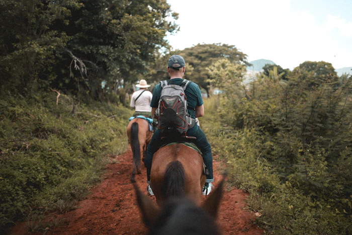 Rider on horseback through wooded mountain trails