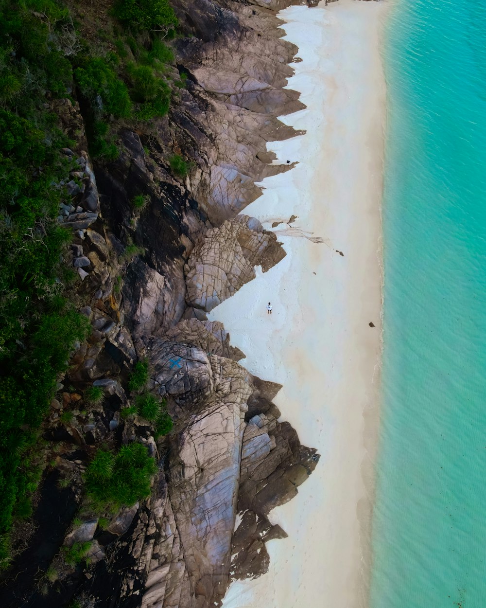 aerial view of beach during daytime