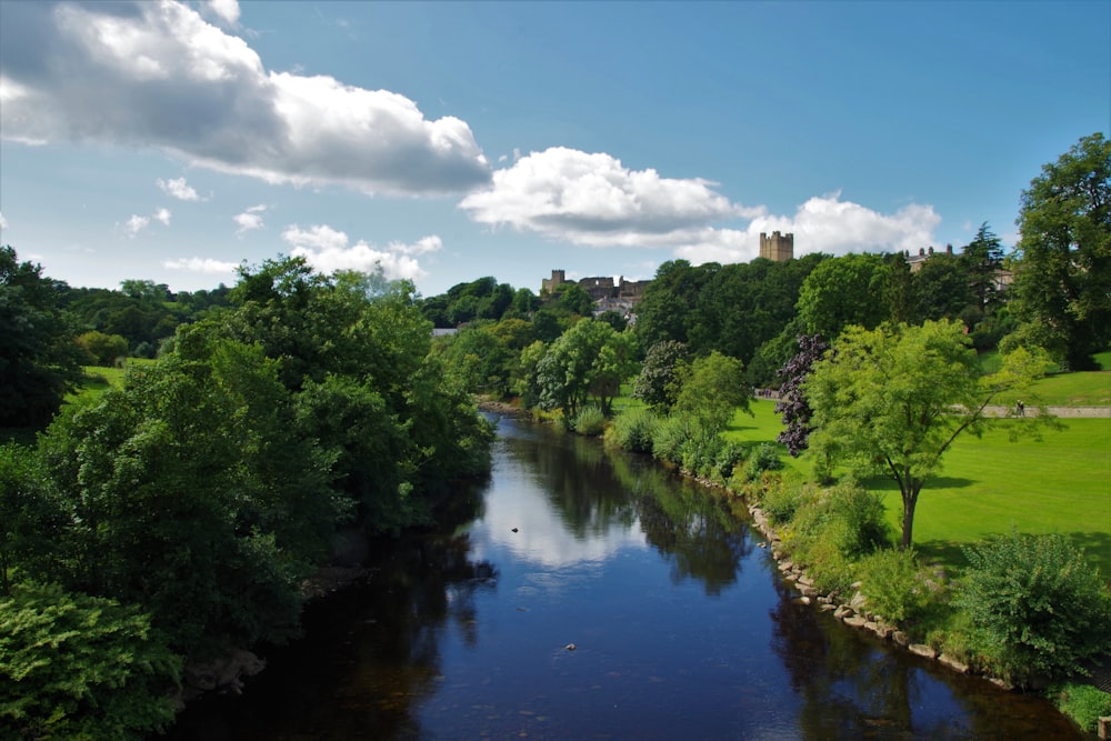 green trees beside river under blue sky during daytime