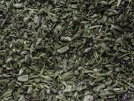 Close-up of hands preparing herbal medicine with fresh leaves and roots.