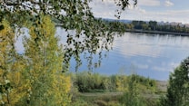A serene river scene with rippling water reflecting the sky, surrounded by lush greenery. Trees with green and yellow leaves partially overhang the river. A distant urban skyline is visible across the water.