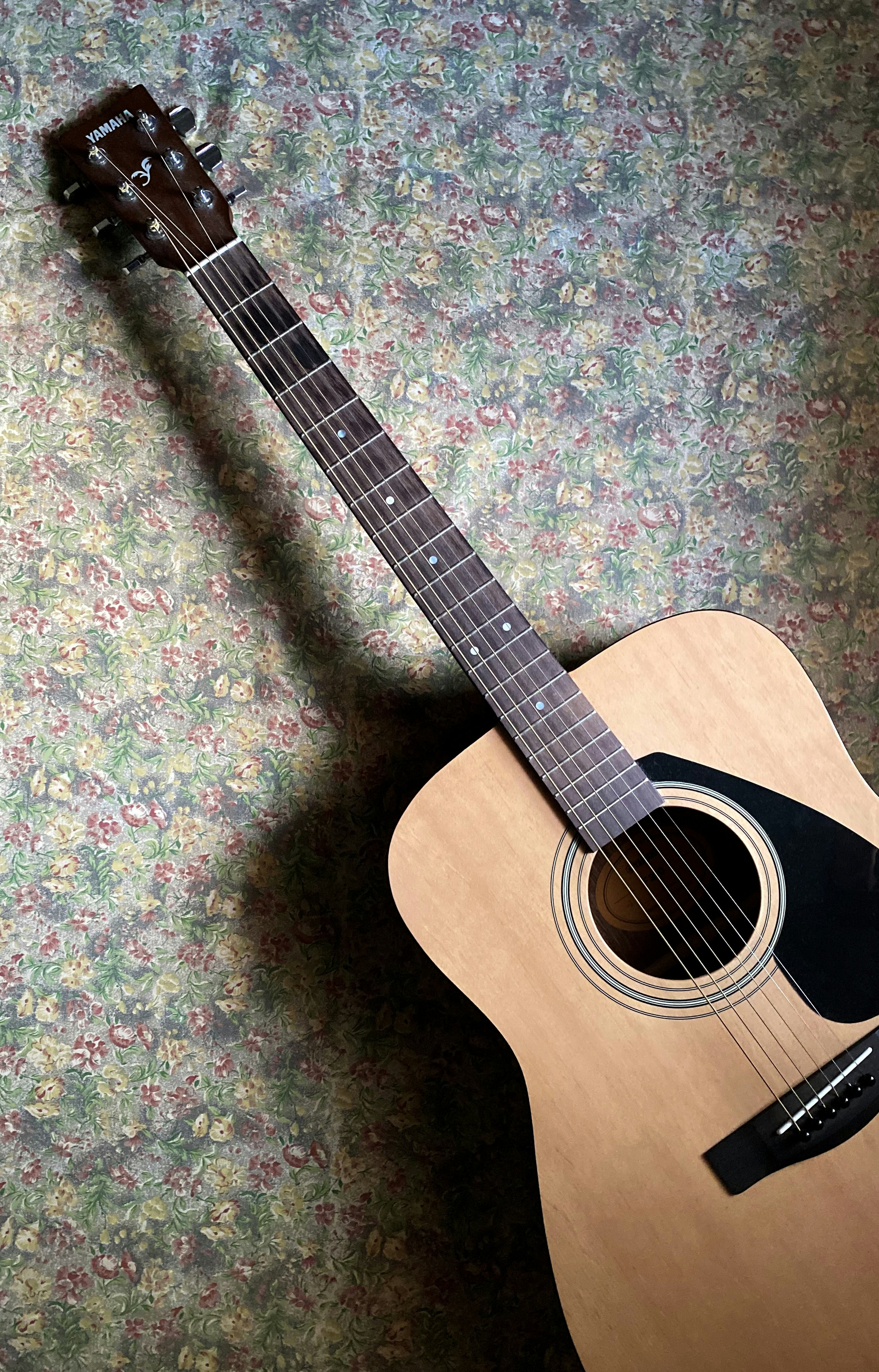 Guitars for Every Skill Level