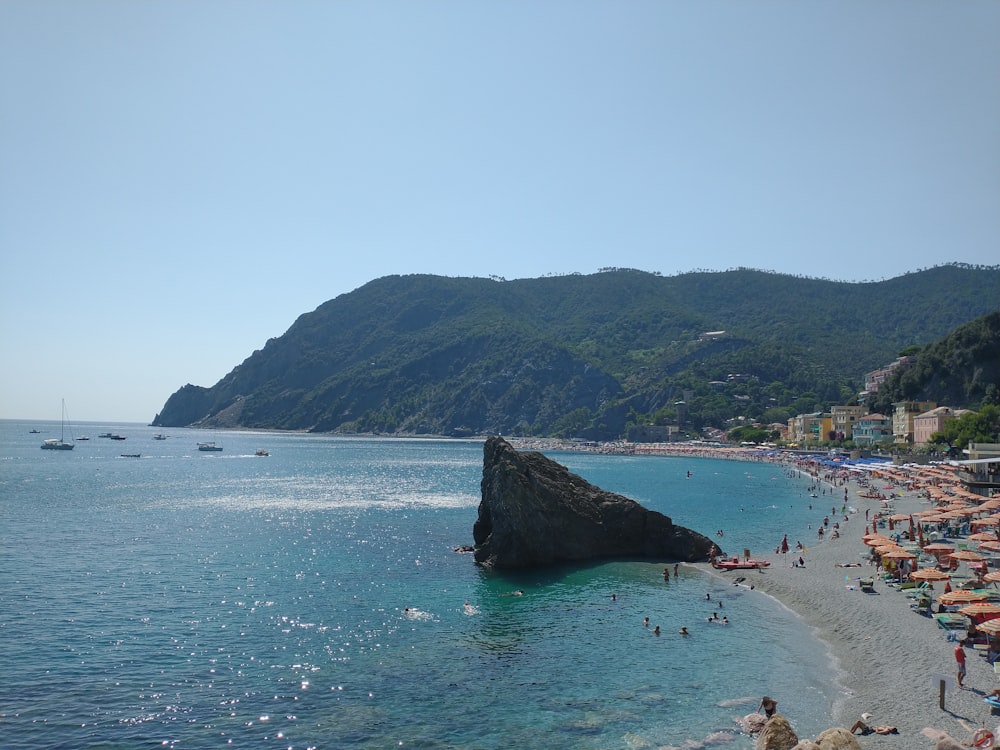 people on beach during daytime