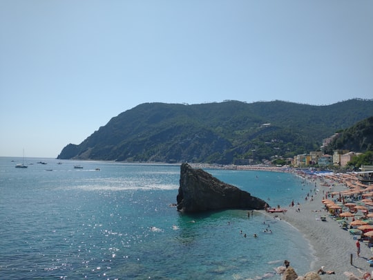 people on beach during daytime in Parco Nazionale delle Cinque Terre Italy