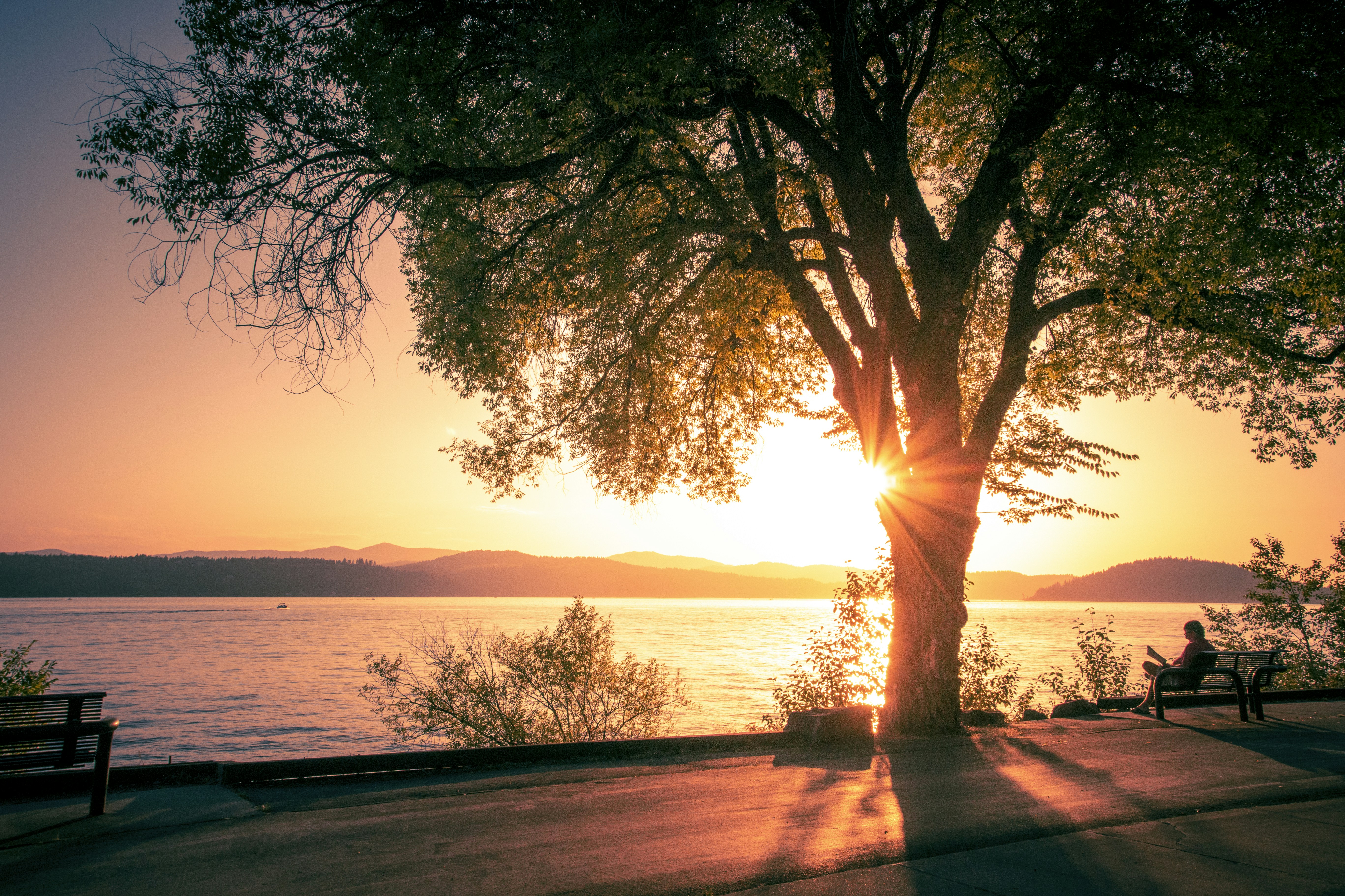 The Setting Sun Pictures | Download Free Images on Unsplash