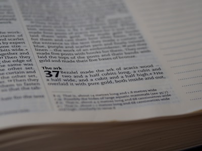 An illustrated Bible storybook open to a vibrant depiction of Noah's Ark with animals boarding.