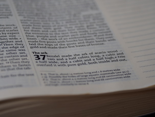 A colorful page from the FaithColors coloring book featuring a joyful Noah's Ark scene with animals and rainbows.