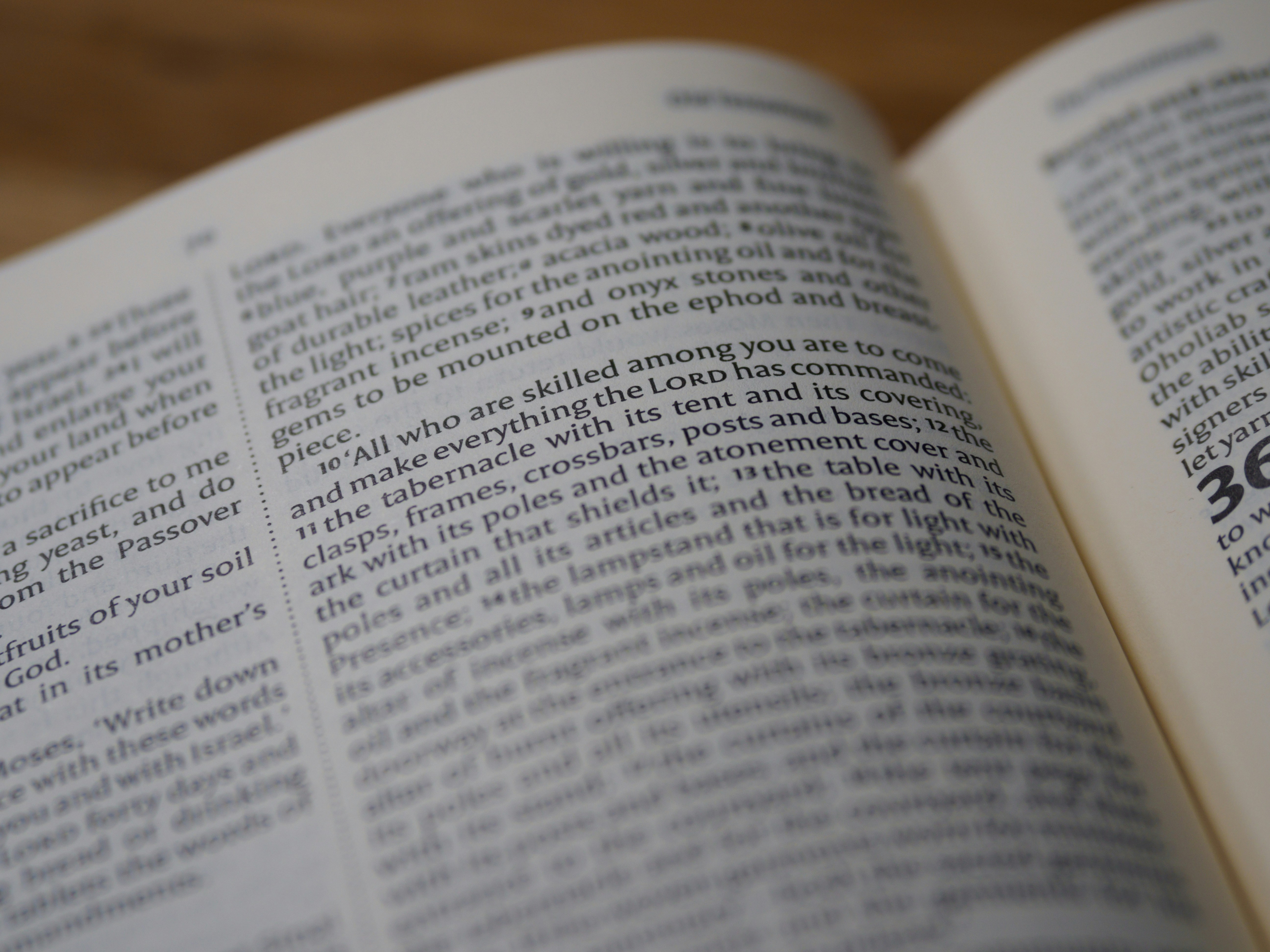 Photo by brett_jordan