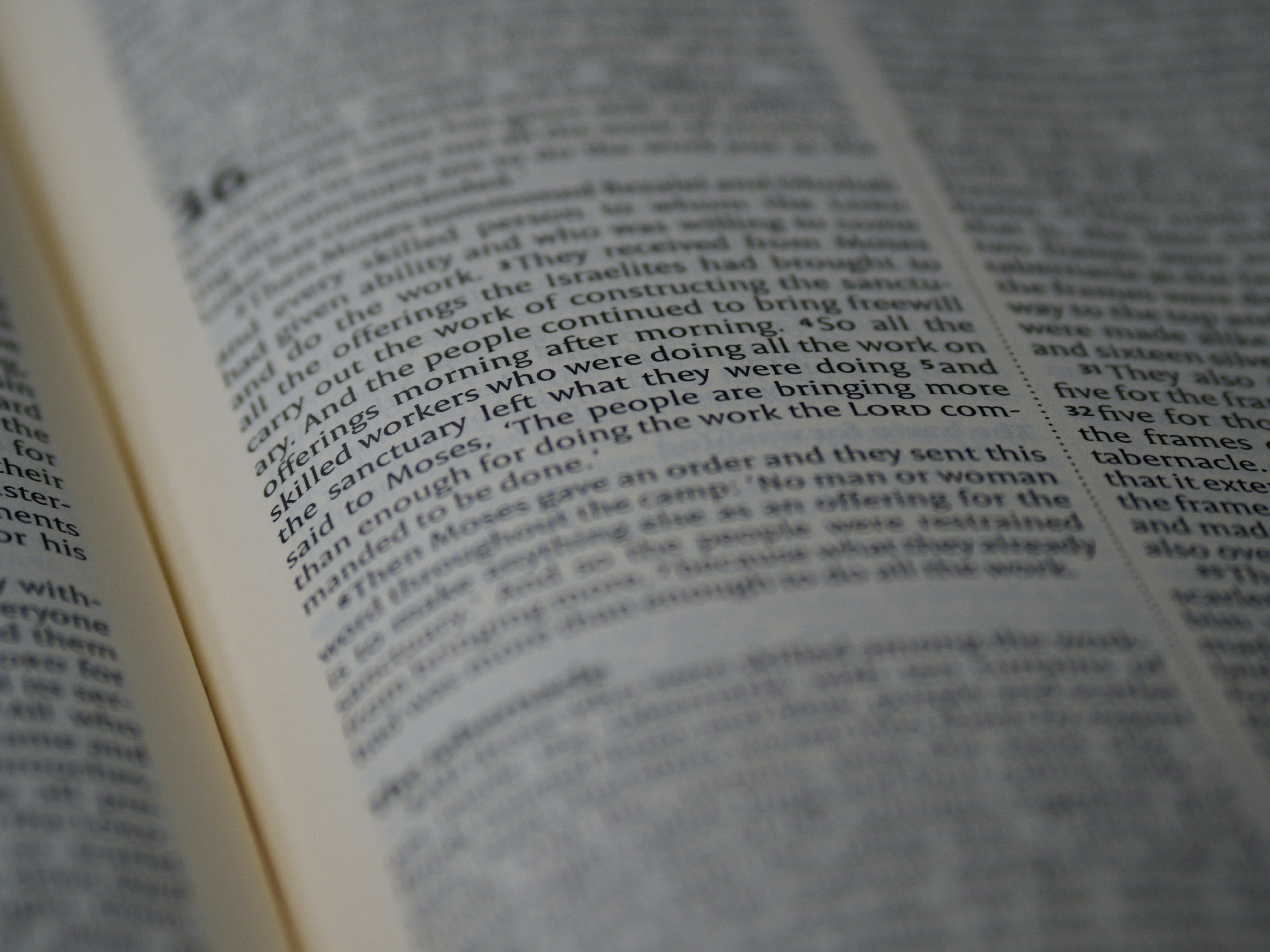 Photo by brett_jordan