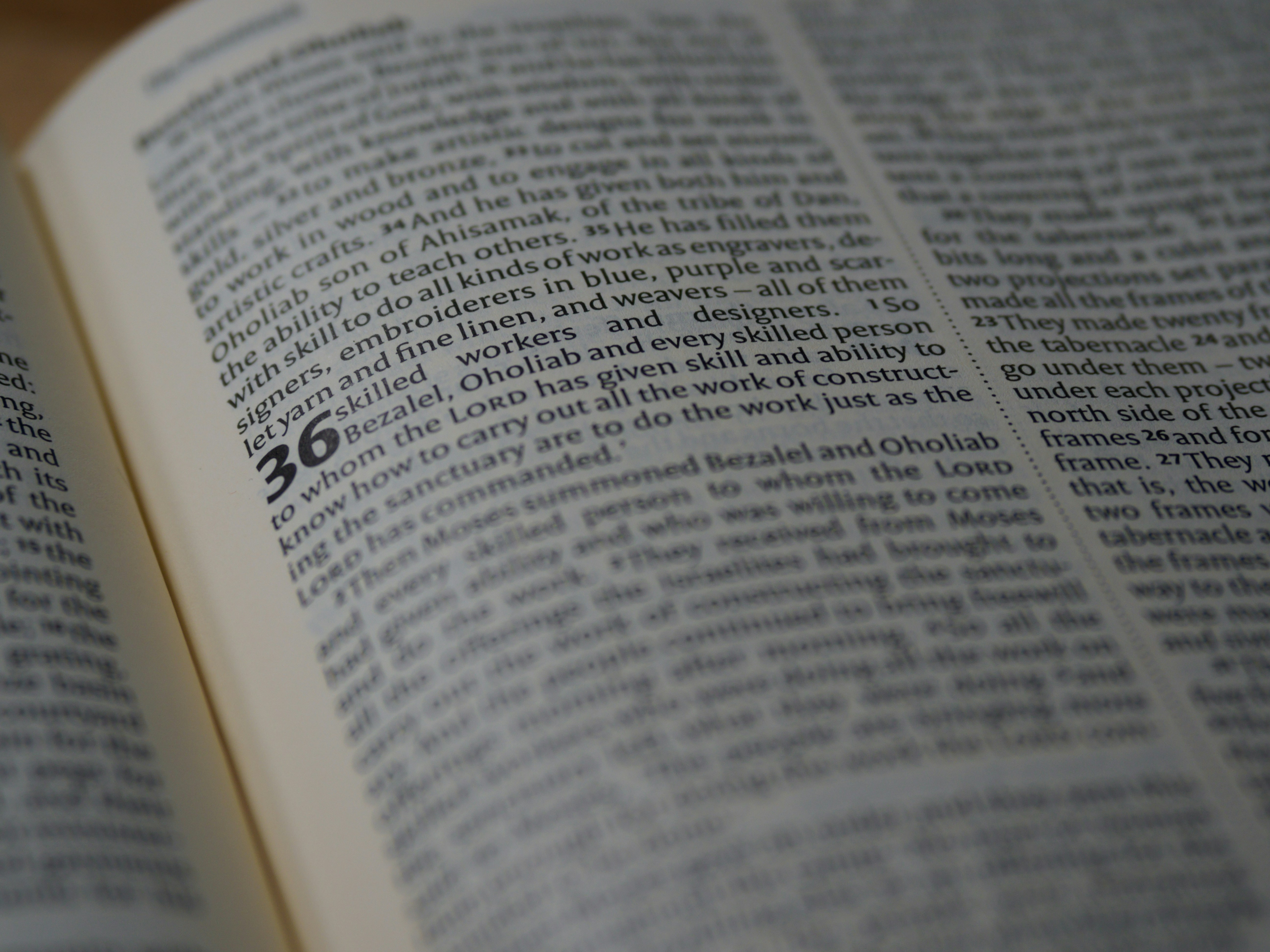 Photo by brett_jordan