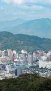 A cityscape with a mixture of modern and traditional architecture, surrounded by lush greenery and distant mountains. The skyline features various tall buildings, a red crane, and a hospital building with multiple red cross symbols.