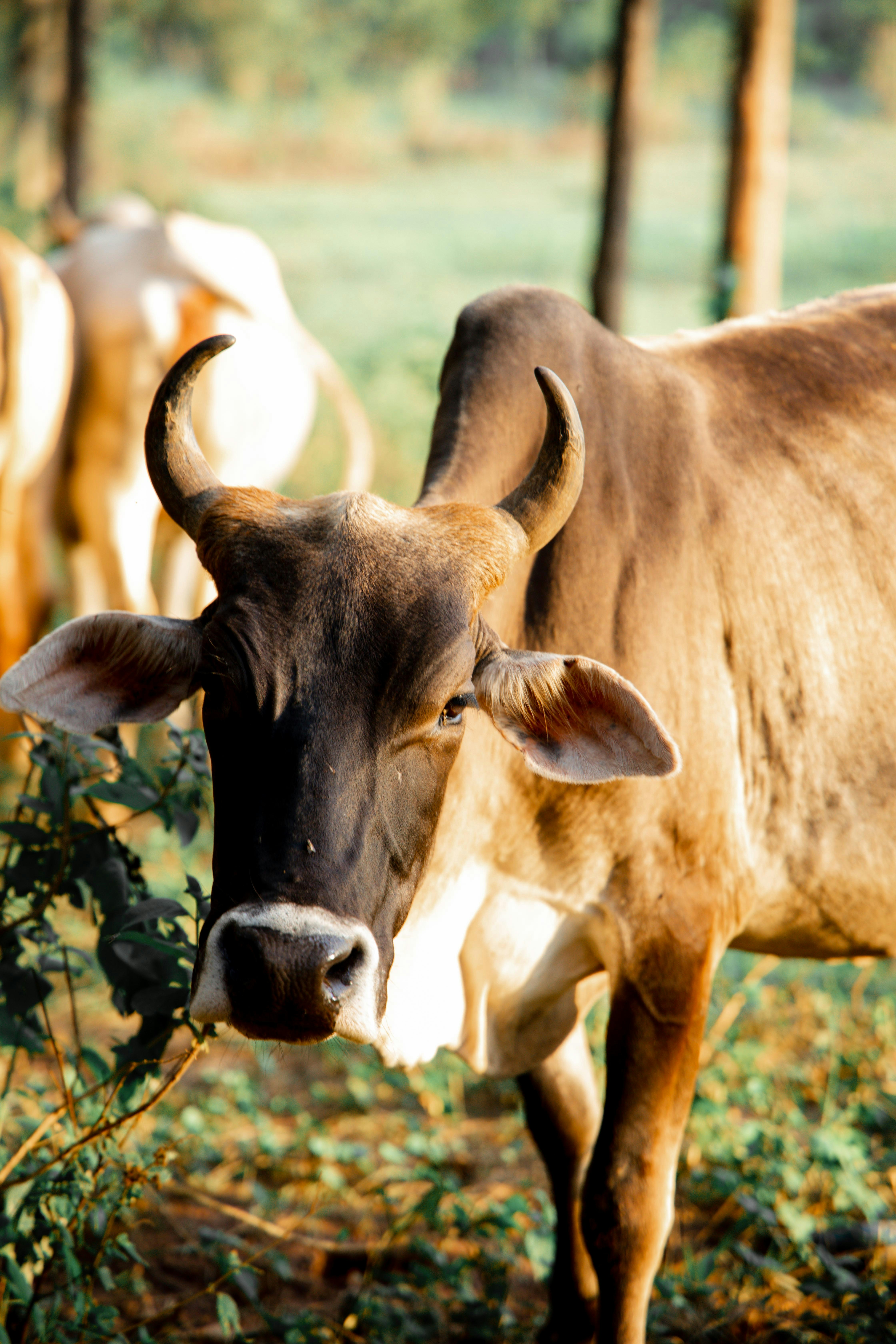 Photo by iamclement_arts