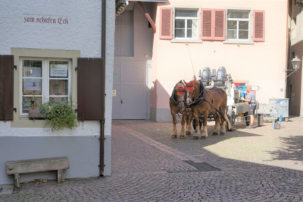 2 chevaux bruns sur une route en béton gris pendant la journée