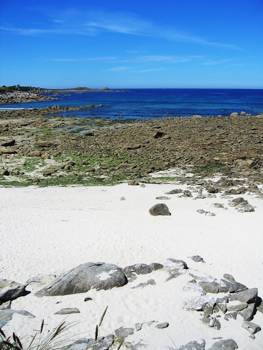 gray rocks on white sand beach during daytime in Île de Batz France