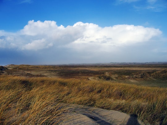 brown grass field under blue sky during daytime in Finistère France