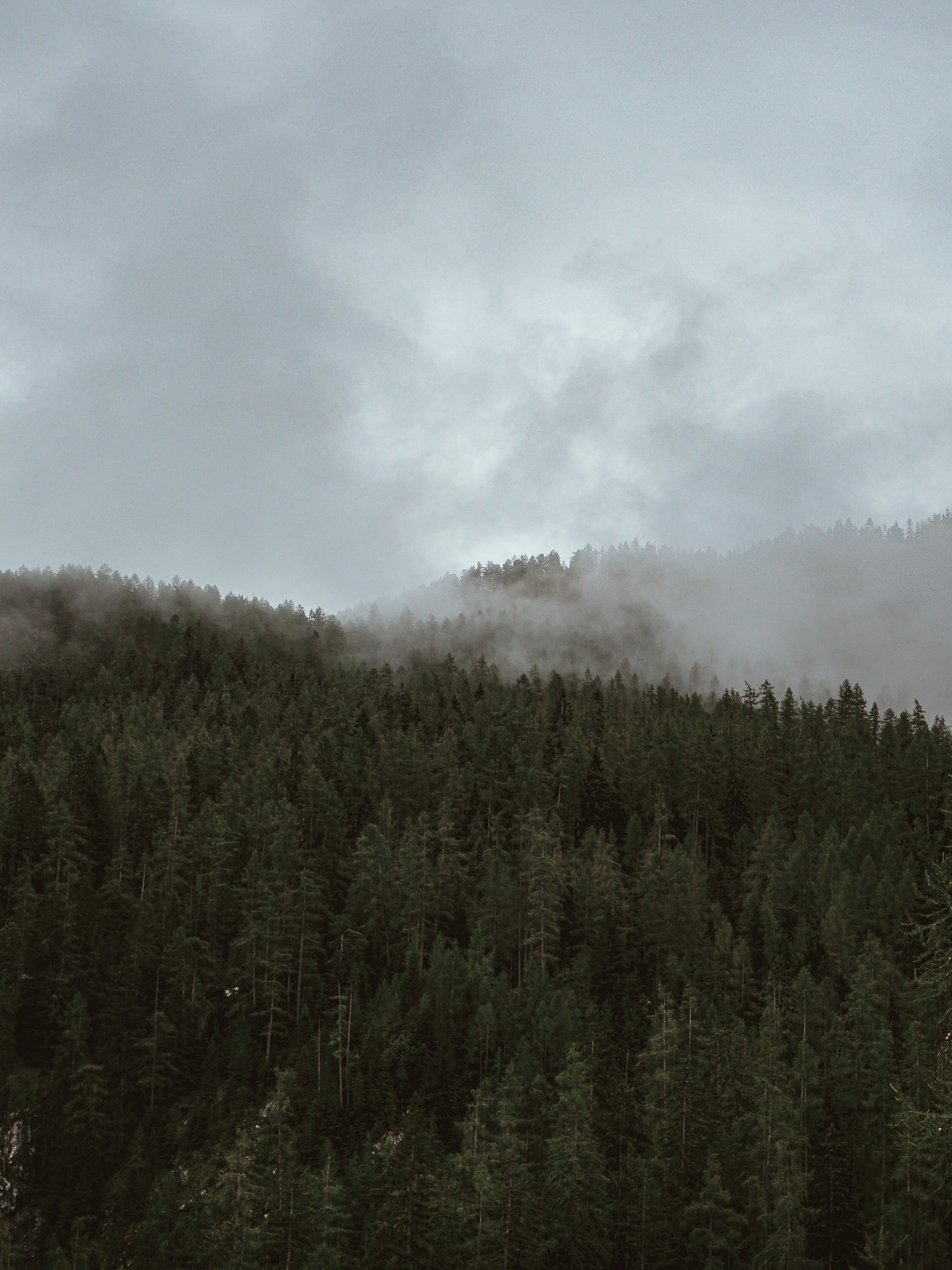 Photo by laurachouette