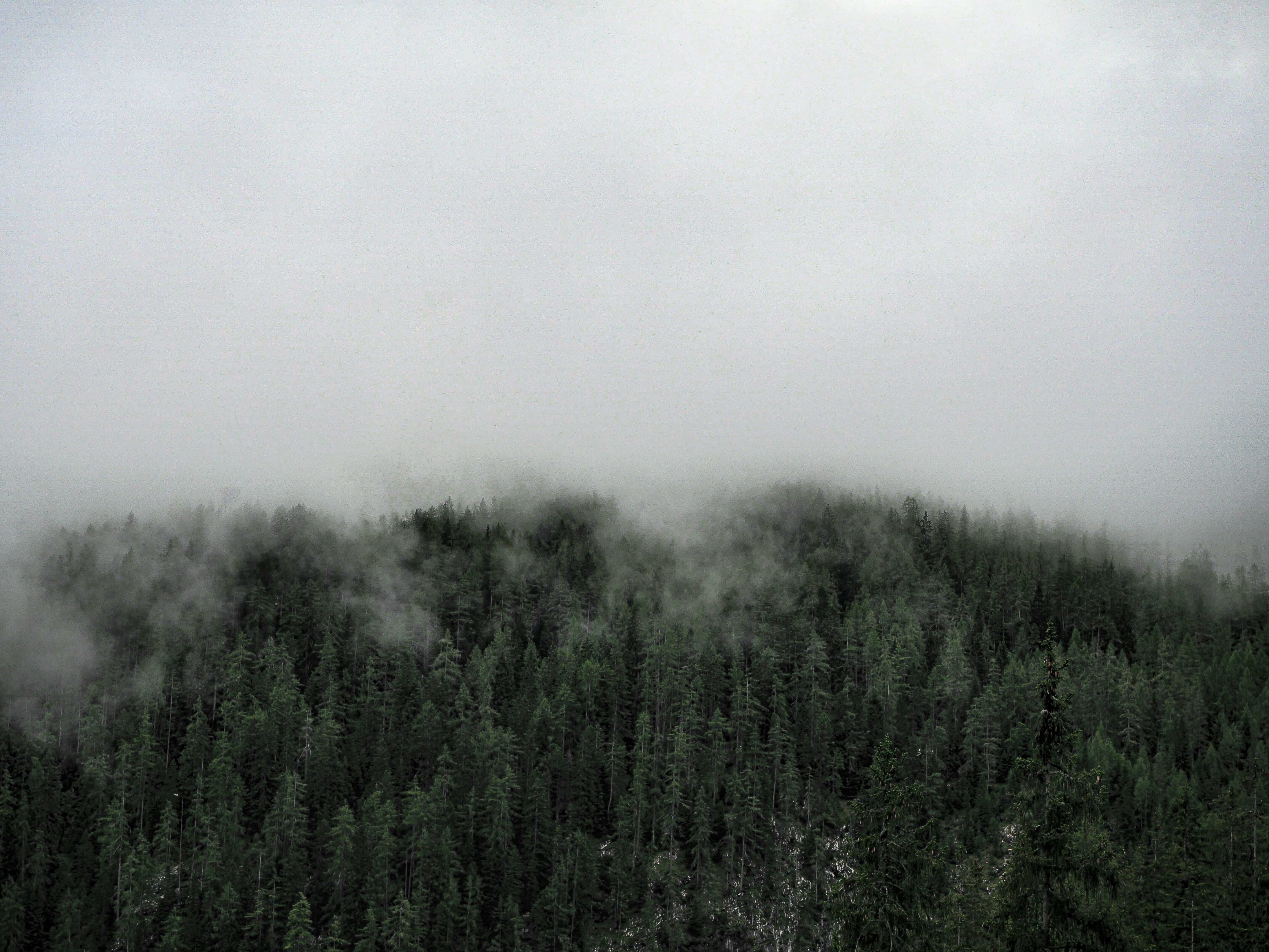 Photo by laurachouette