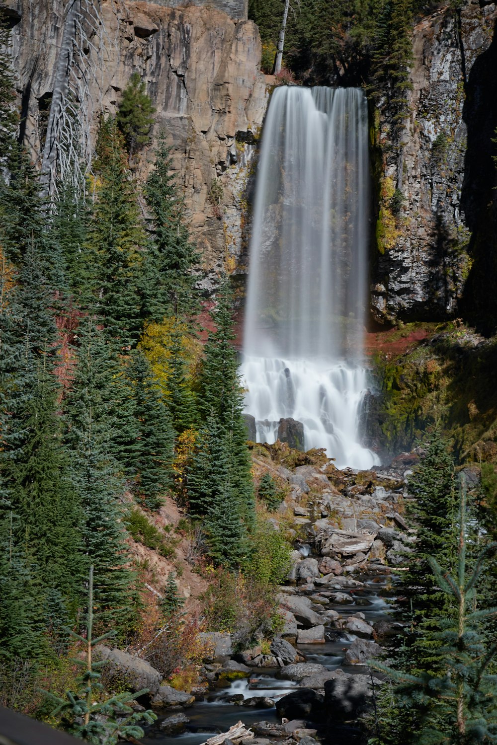 waterfalls in forest during daytime