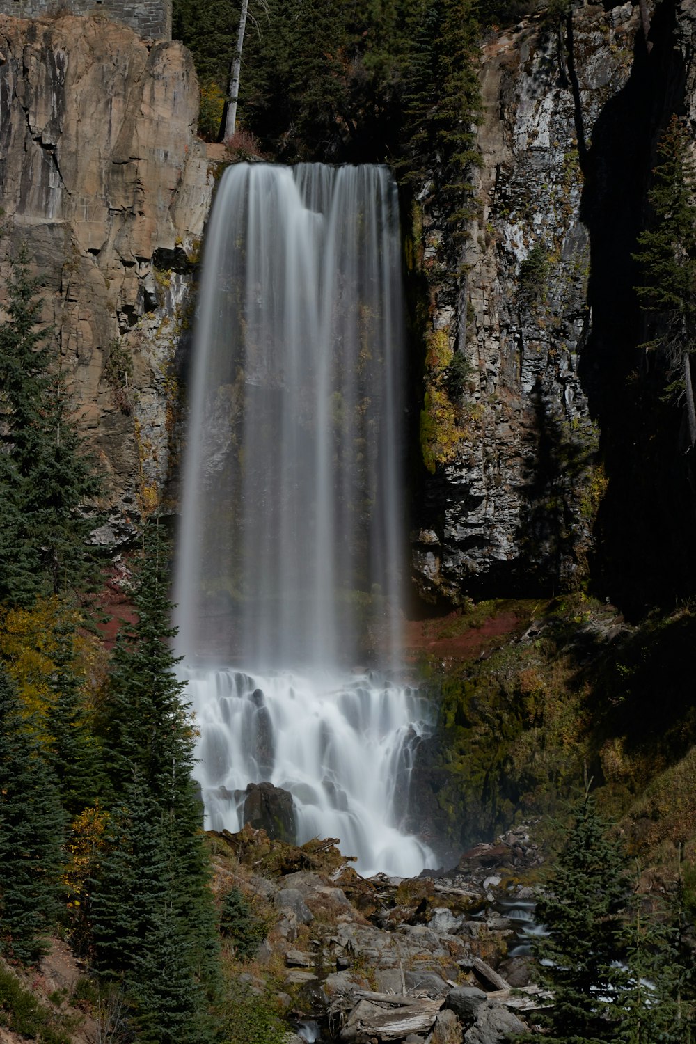 waterfalls in forest during daytime