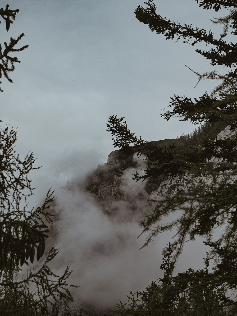 green trees under white clouds