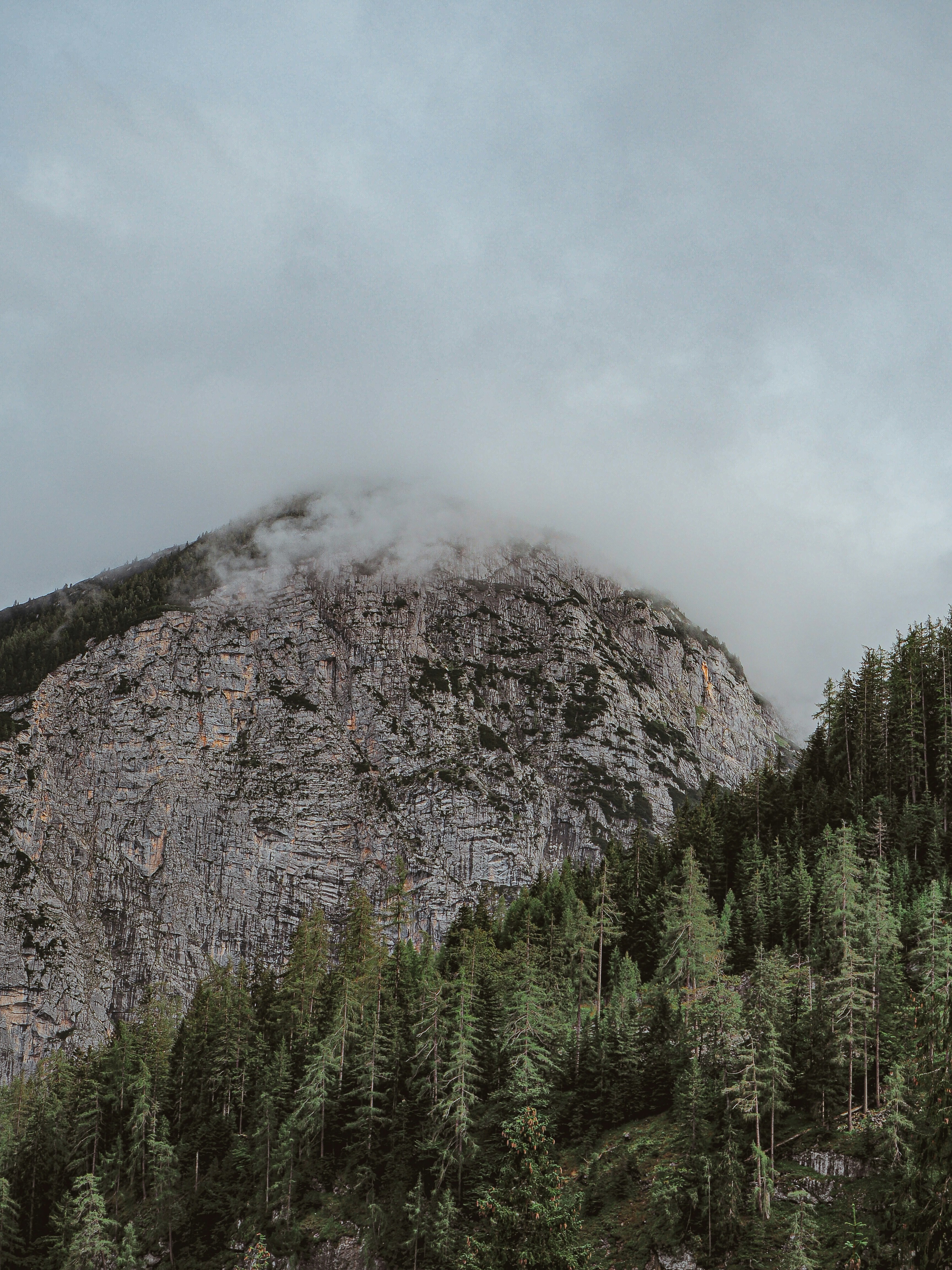 Photo by laurachouette