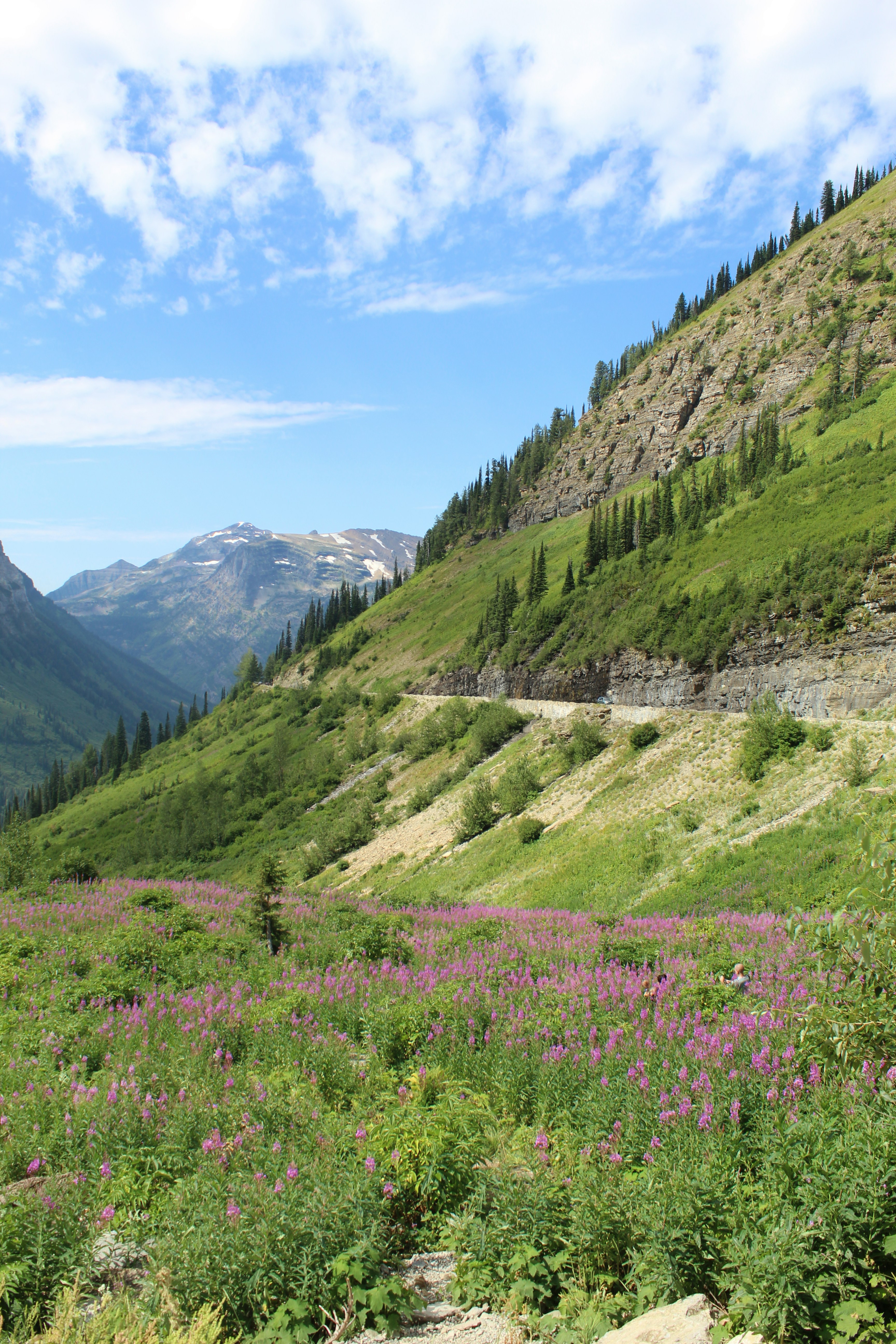 green grass field and mountains under blue sky during daytime