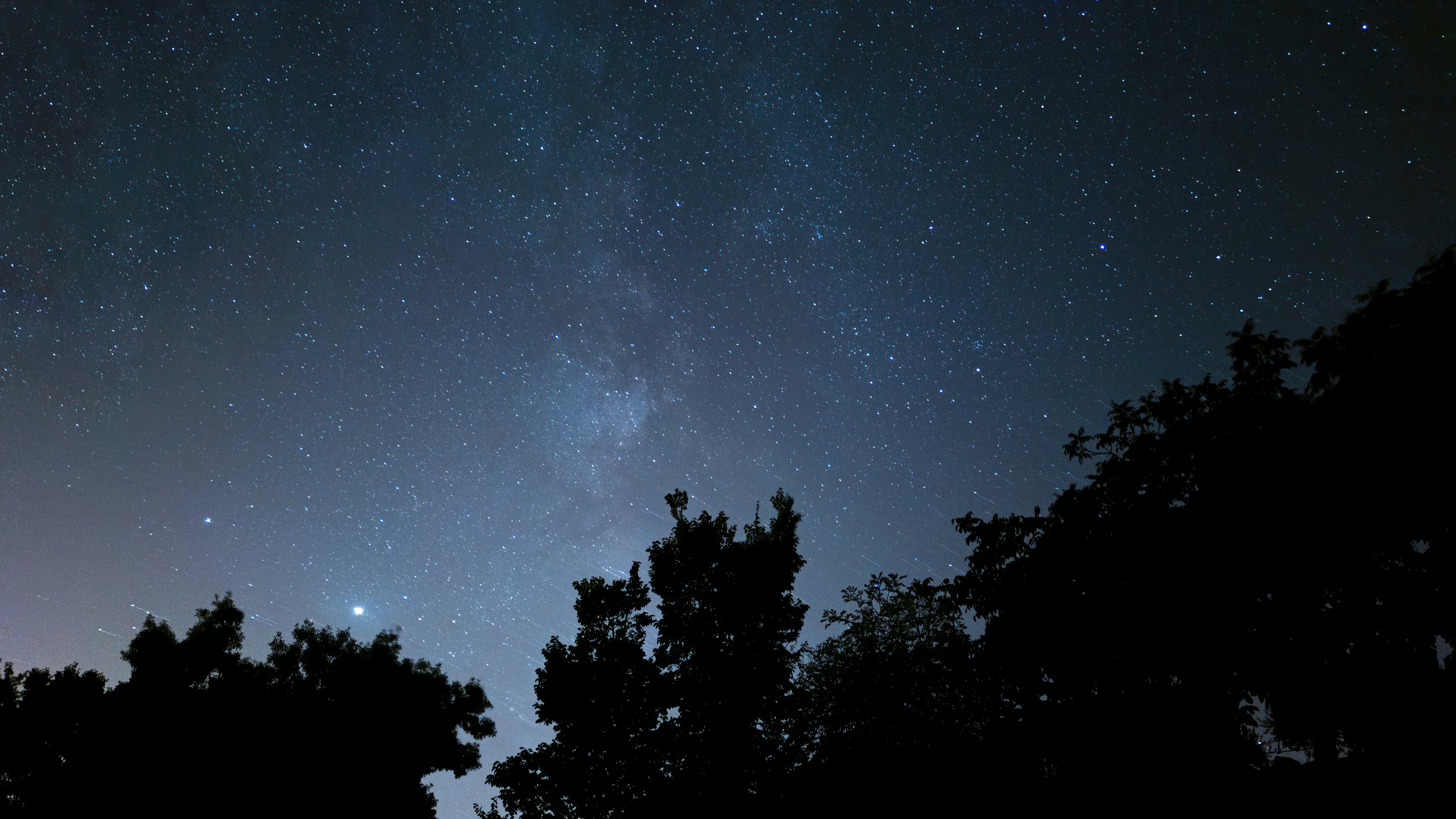 silhouette of trees under blue sky during night time