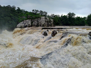 Chhattisgarh