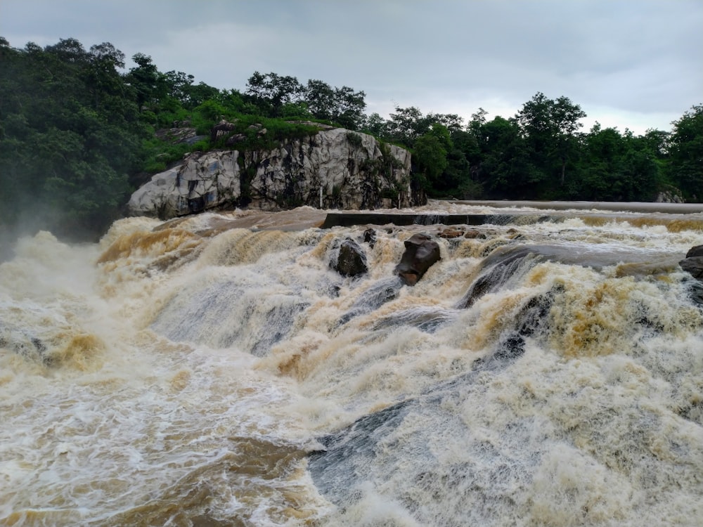 árvores verdes ao lado do rio durante o dia