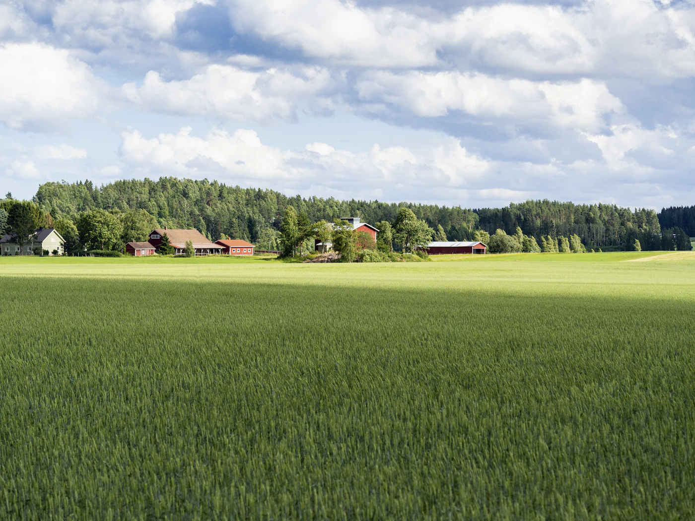 Green farm fields stretching toward homes on the horizon