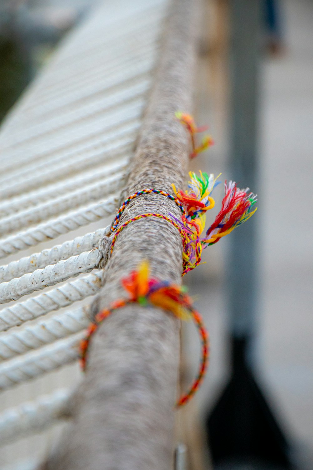 white and brown rope on brown wooden fence