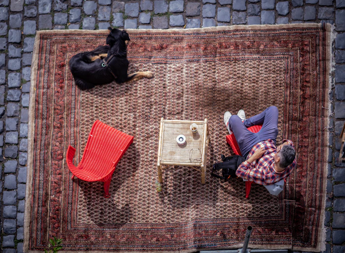 Pet Friendly Cafes