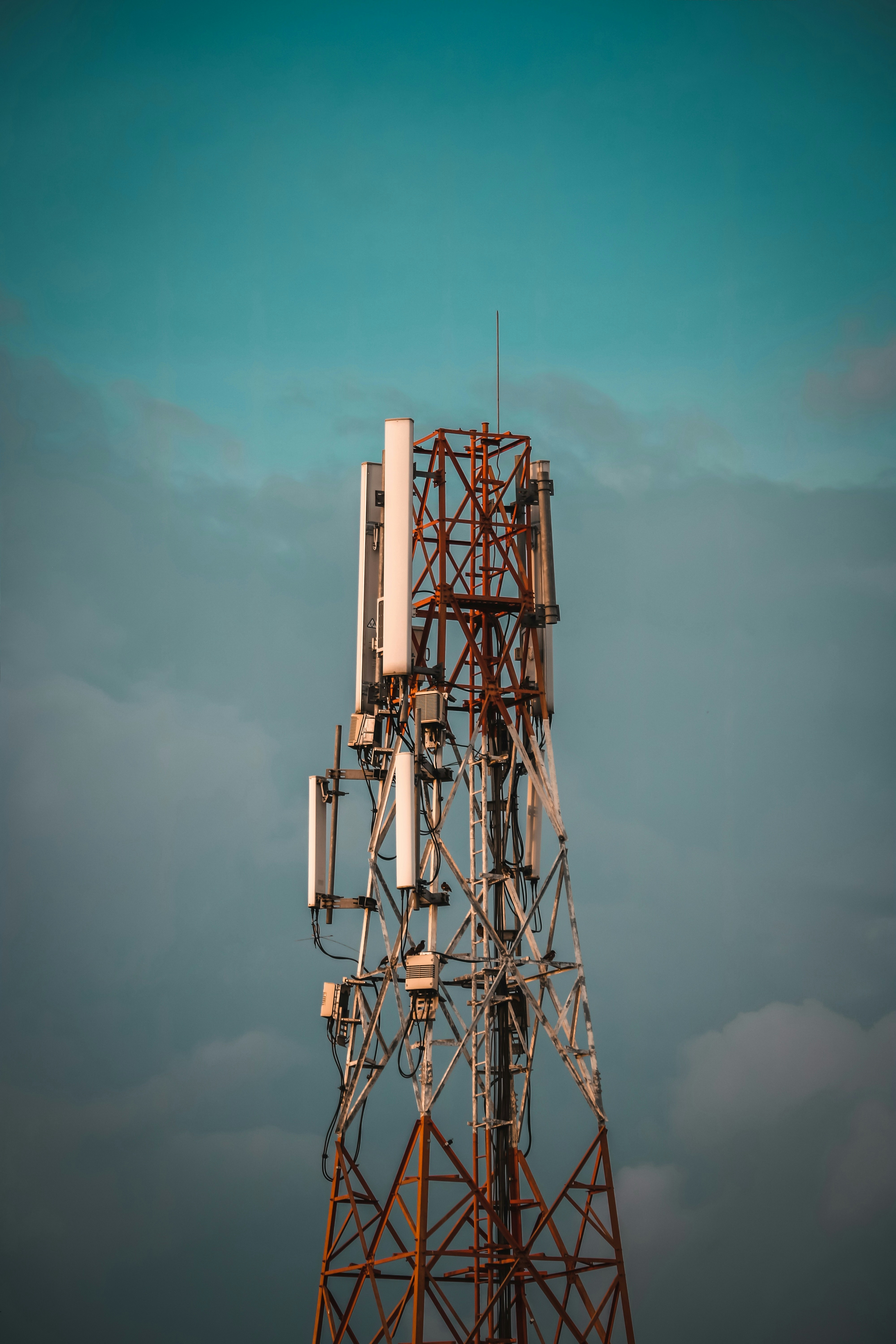 Photo by mahadihasan_photography