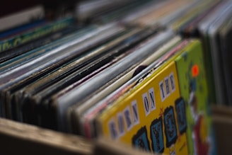 Close-up of vinyl records with reggae album covers.