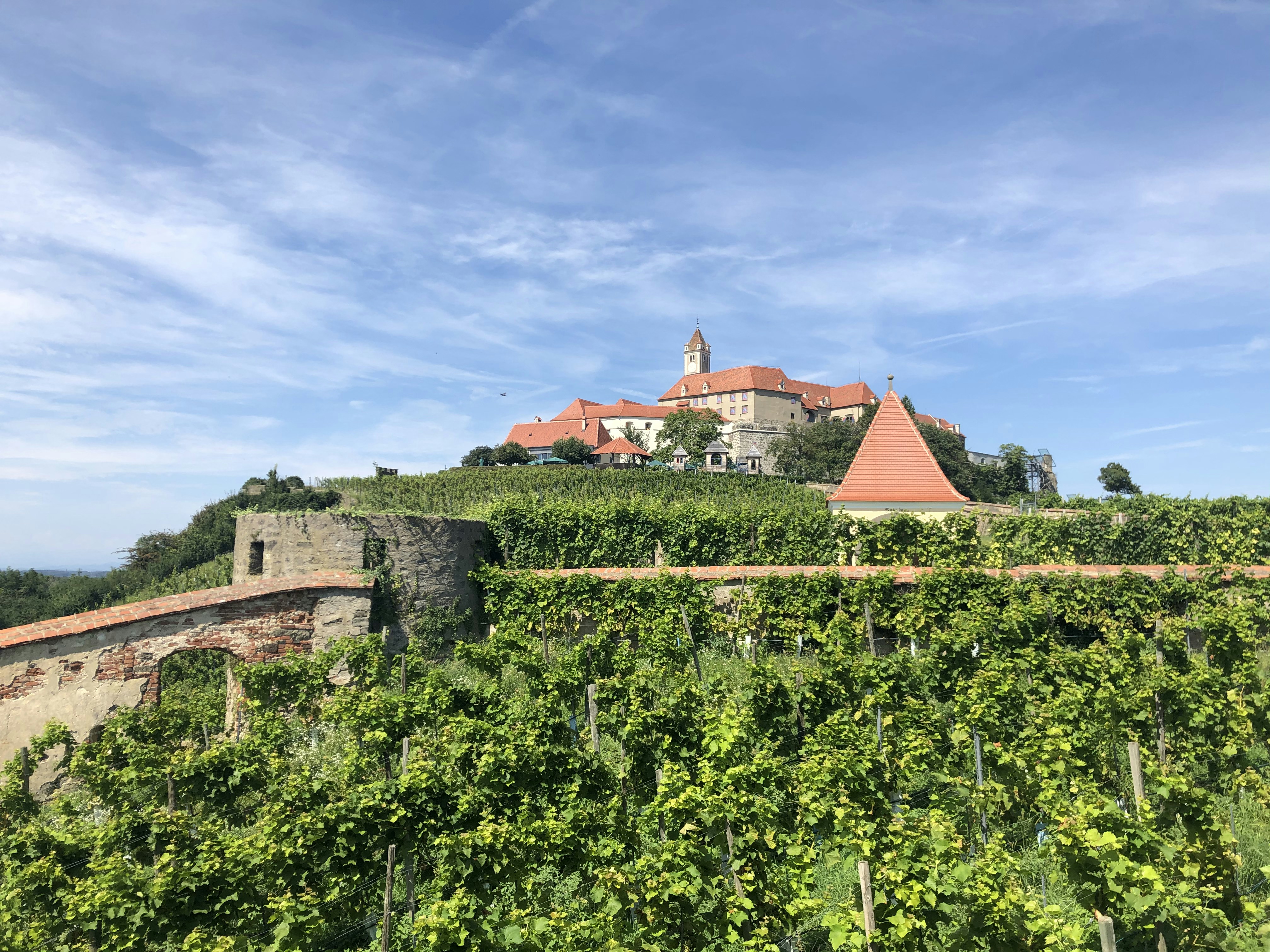 green plants near brown and white concrete house under blue sky during daytime