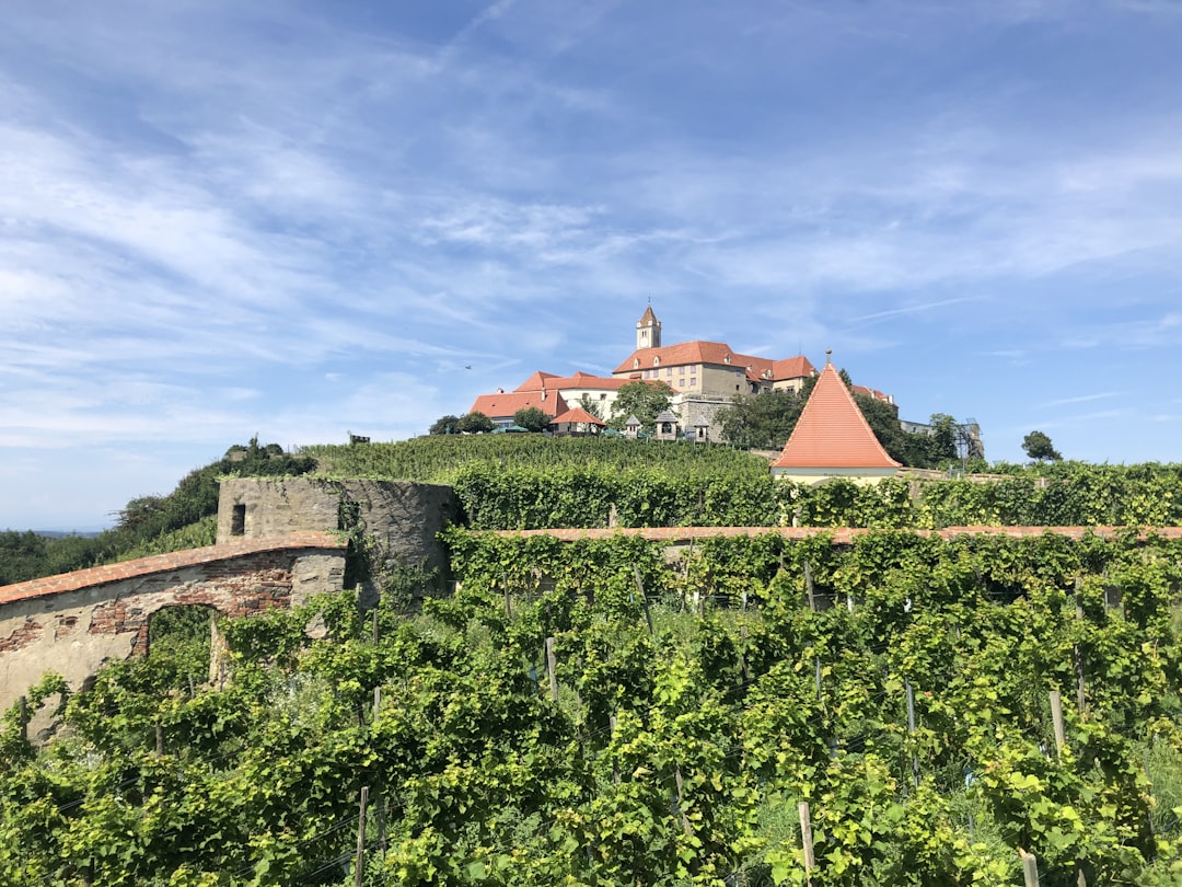 Magnificent Medieval Castles You Must Visit Across the Czech Republ… — Magnificent Medieval Castl…, photo 2