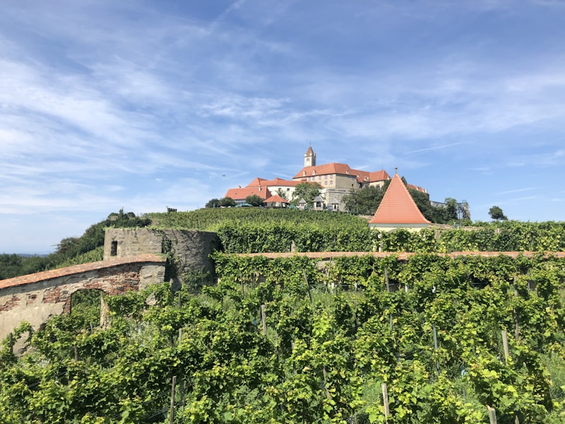 Schloss Johannisberg — Geisenheim-Johannisberg