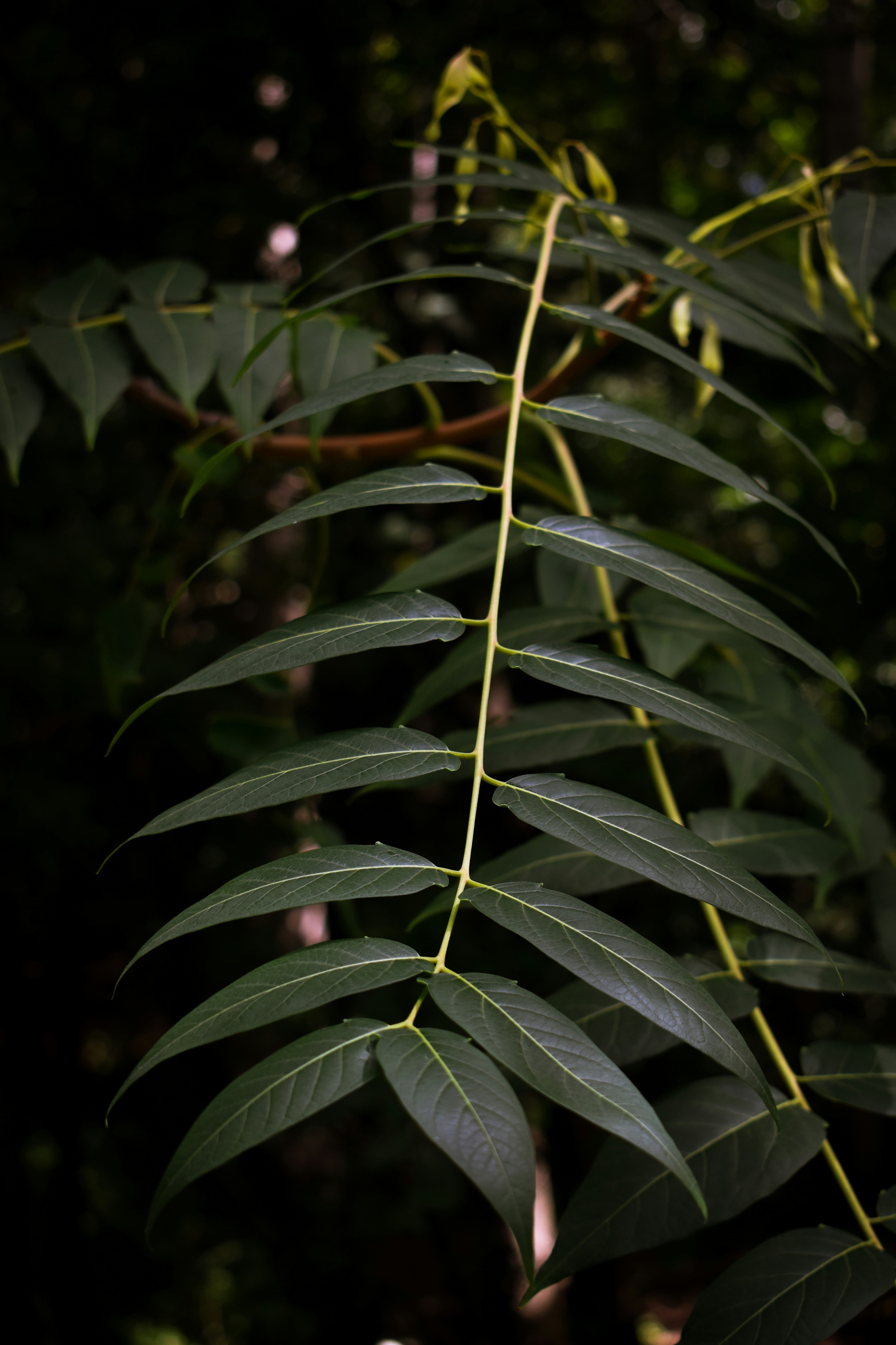 Photo by mariahhewines