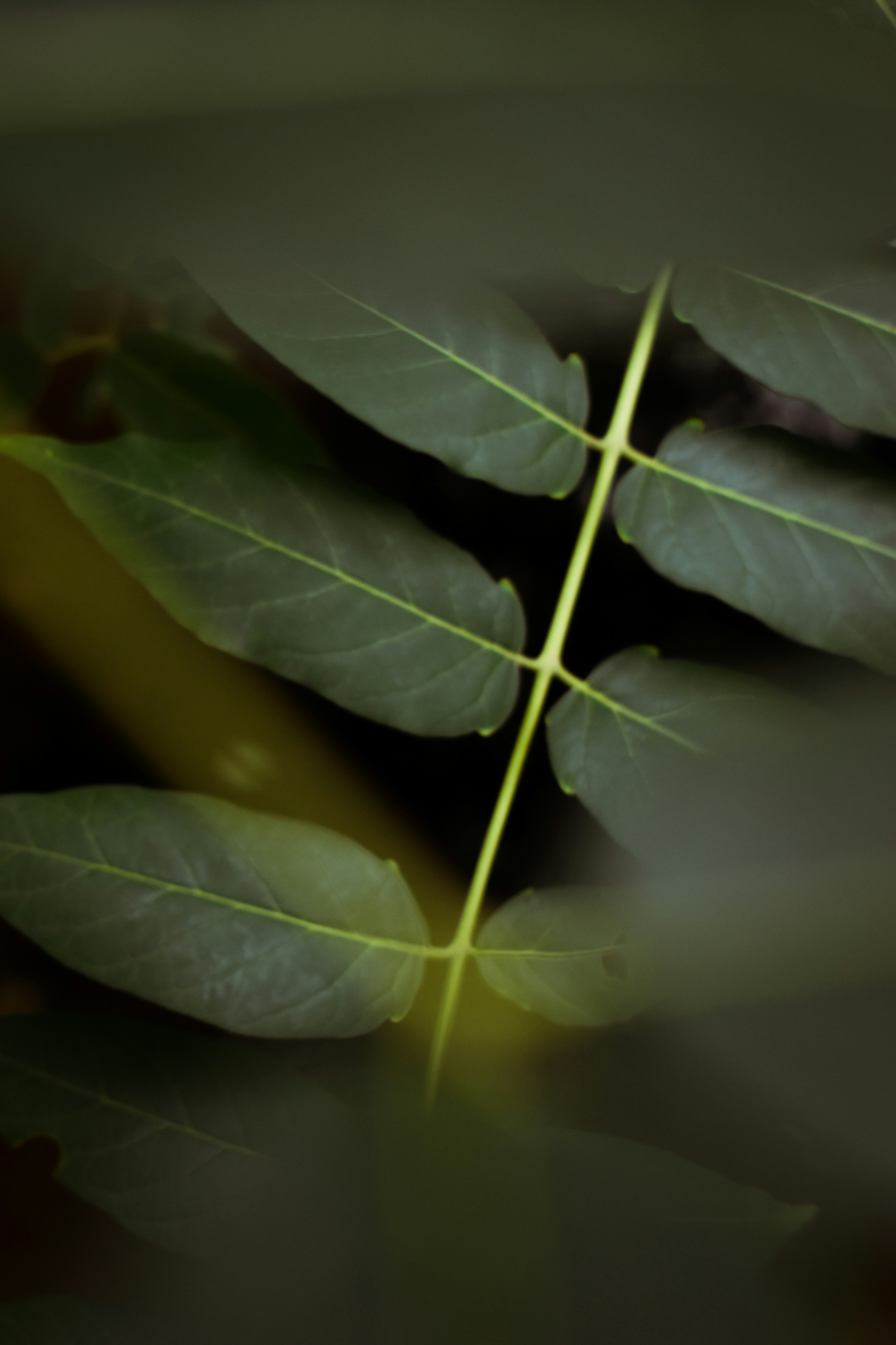 Photo by mariahhewines