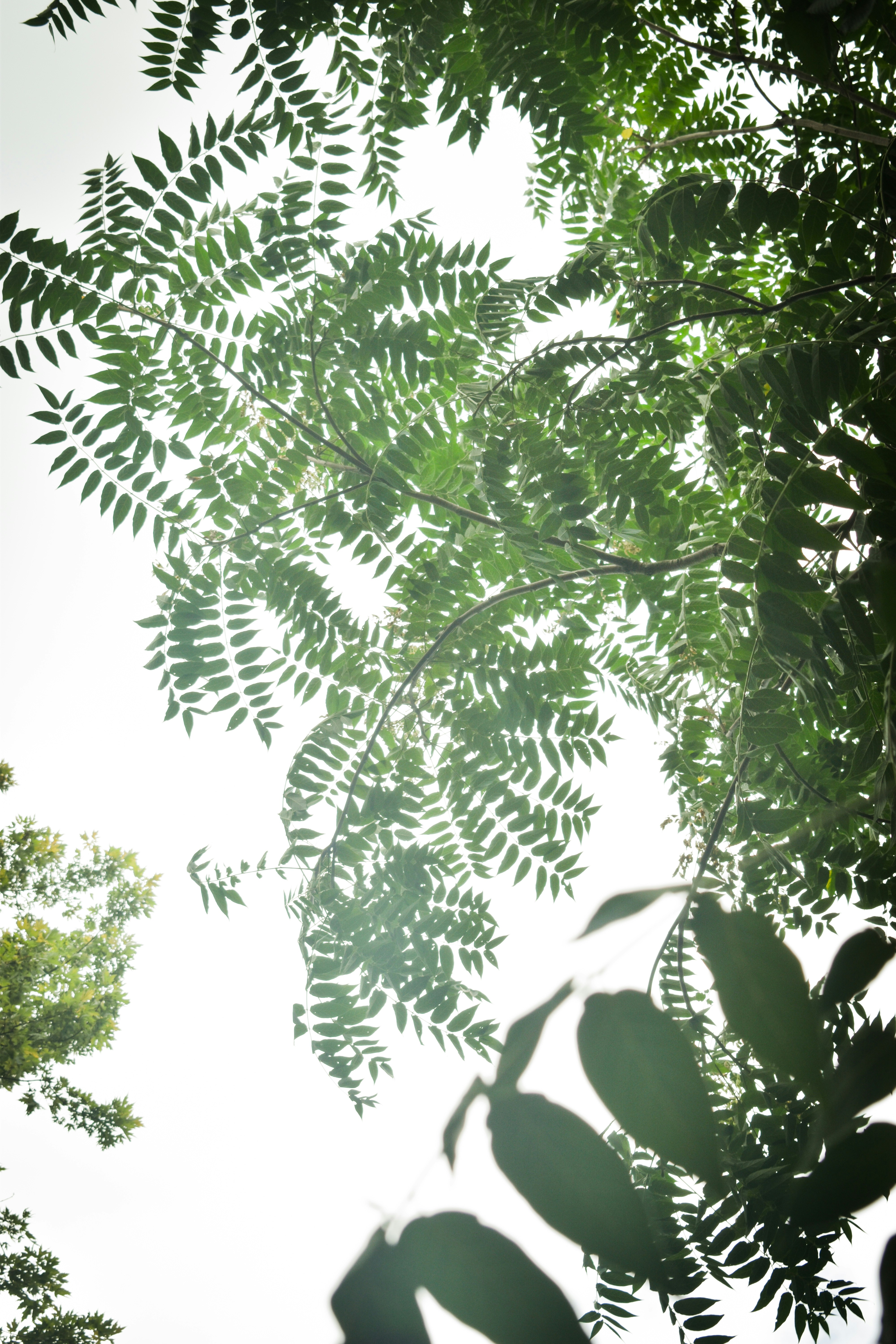 Photo by mariahhewines