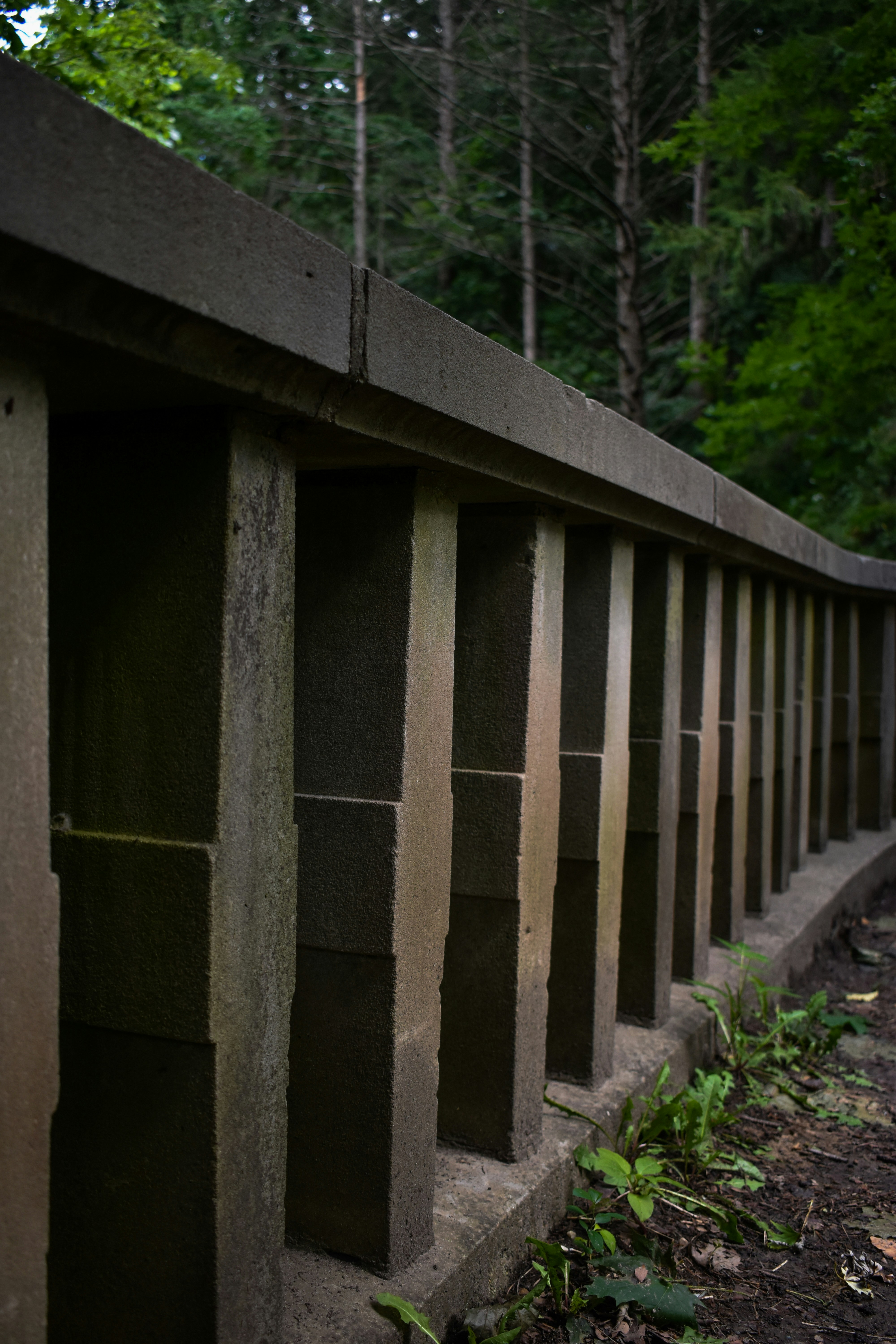 Photo by mariahhewines