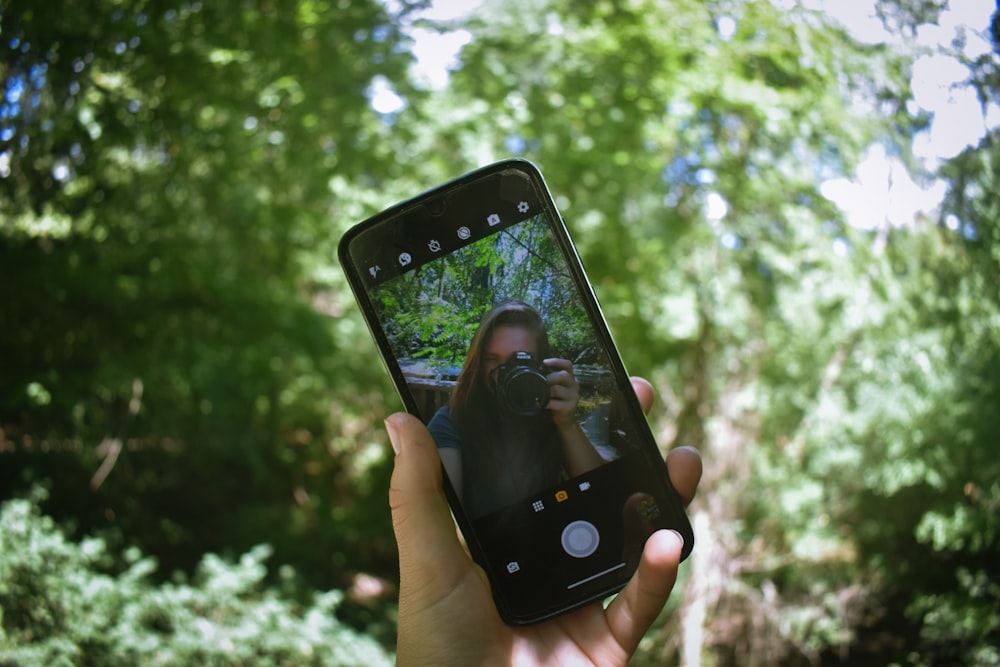 person holding black iphone 4 taking photo of green trees during daytime