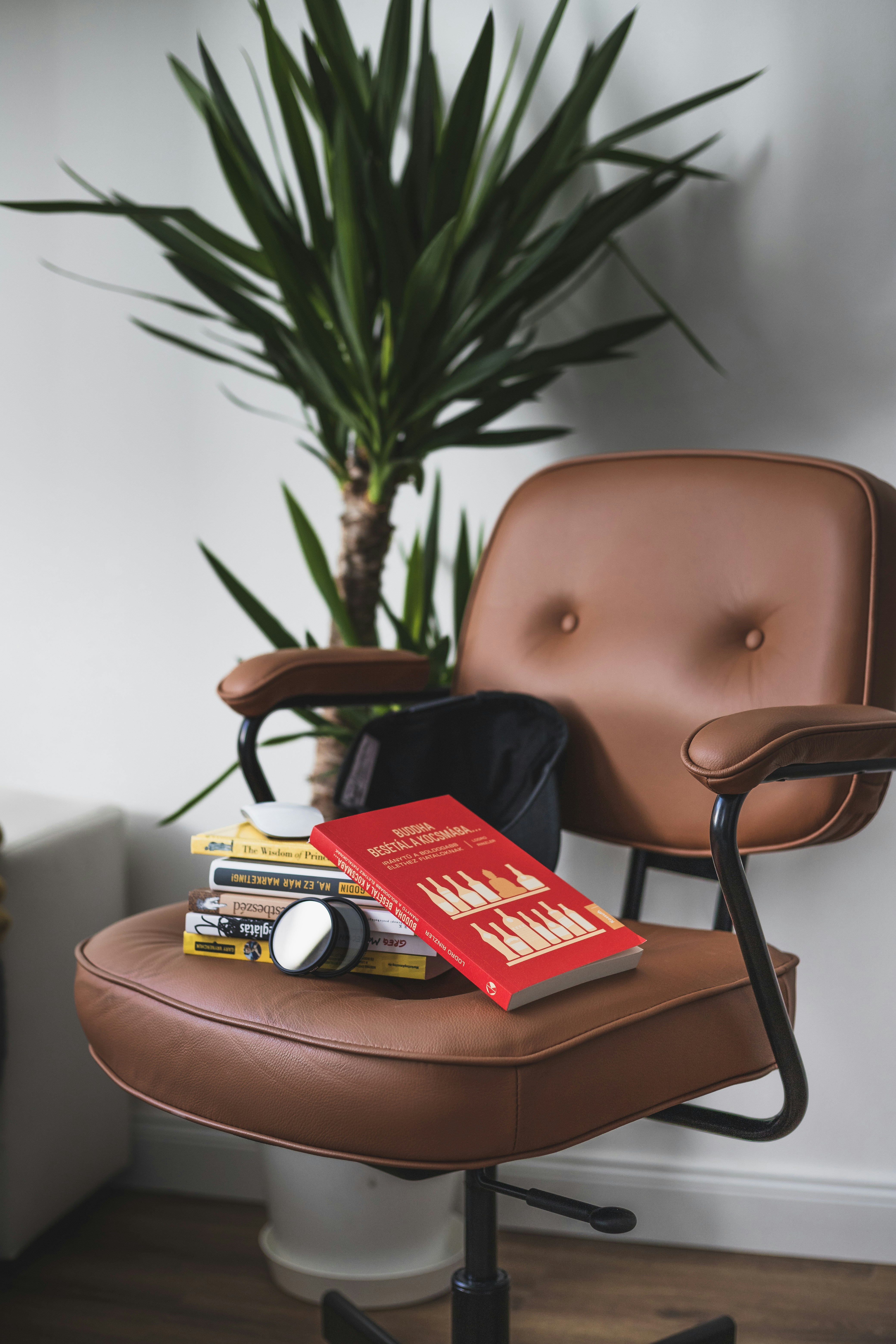 Livre rouge sur chaise en cuir marron