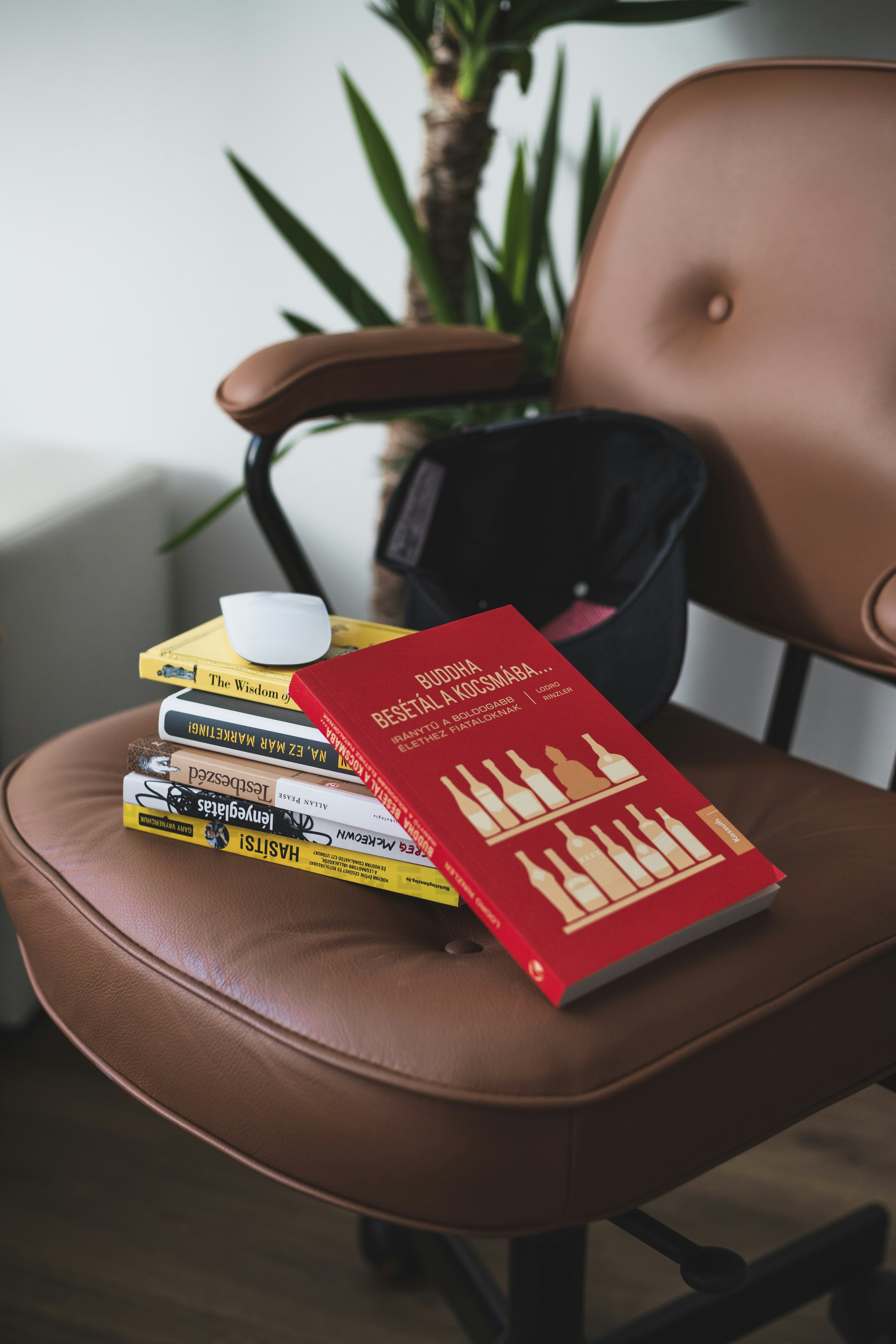 Livre rouge et blanc sur fauteuil en cuir marron