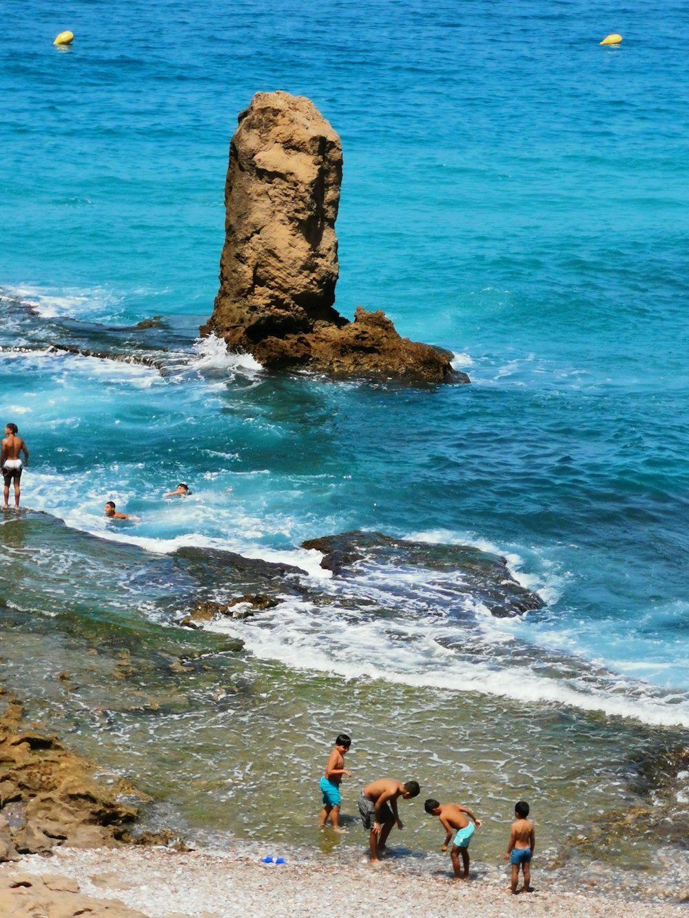 people on beach during daytime