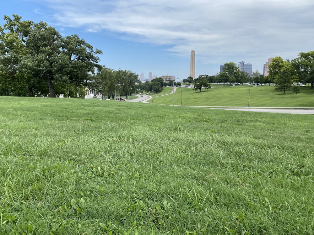 green grass field with trees under blue sky during daytime