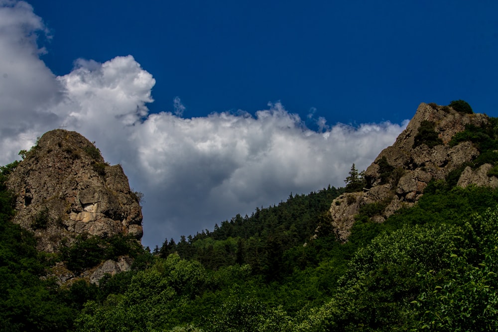 green trees on brown rock formation under blue sky and white clouds during daytime
